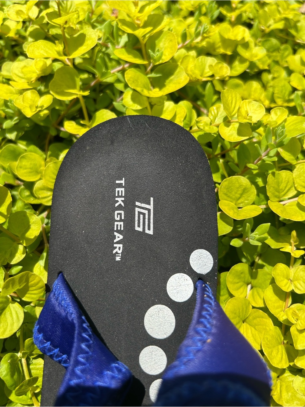 tek gear Black Footbed Flip Flop with Blue Straps